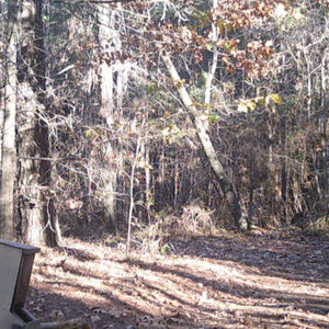 Meet your Posher, Trenton